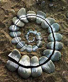 Andy Goldsworthy - Spiral Stones